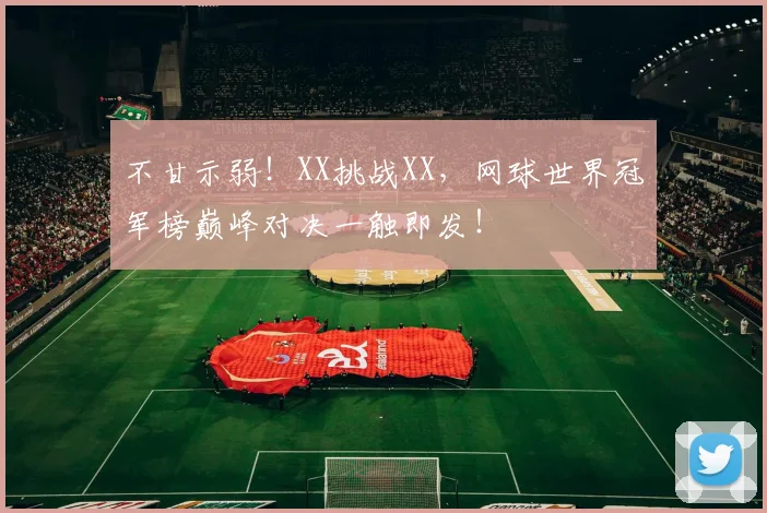 不甘示弱!XX挑战XX,网球世界冠军榜巅峰对决一触即发!