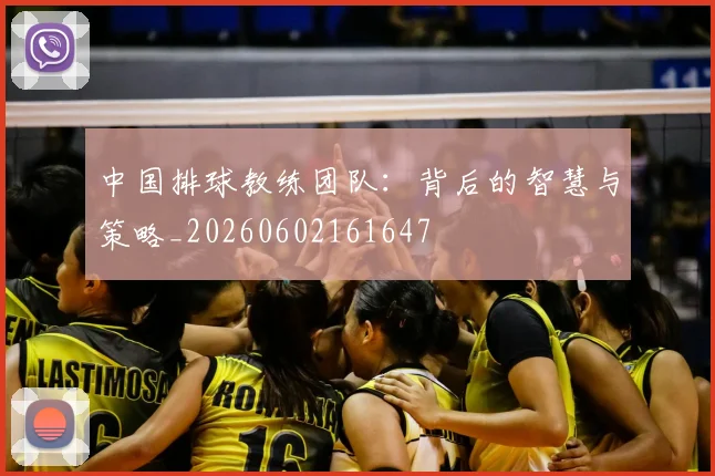 中国排球教练团队:背后的智慧与策略_20260602161647